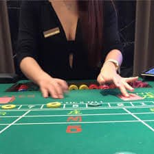ganhador bet ganhador bet